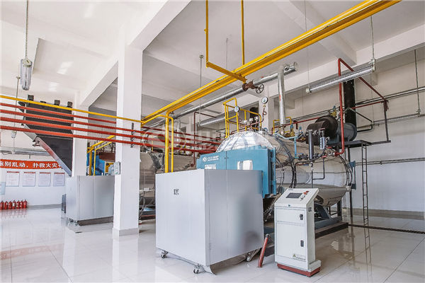 循環(huán)流化床鍋爐200t