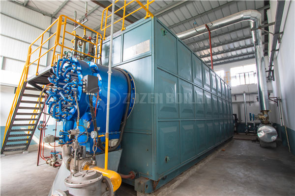 16噸燃?xì)忮仩t排名