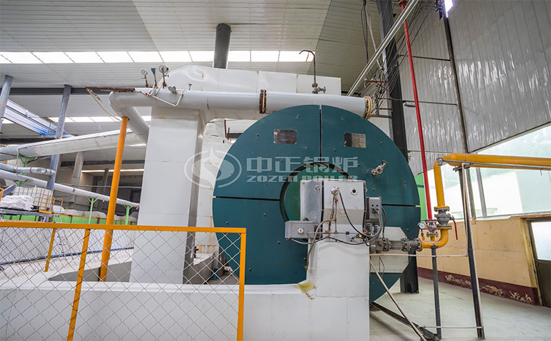 燃煤鏈條爐客戶案例圖片