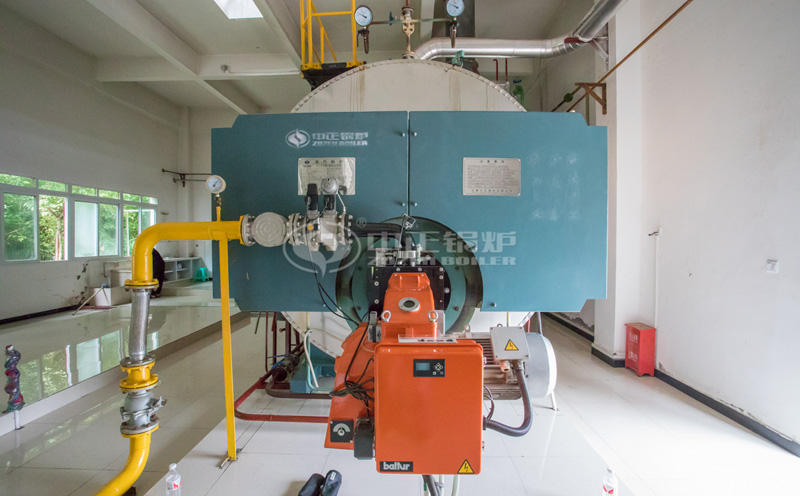 生物質(zhì)熱水鍋爐十大排名客戶案例圖片