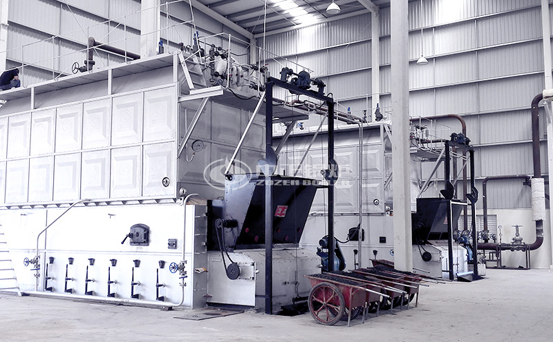 燃煤鏈條爐客戶案例圖片