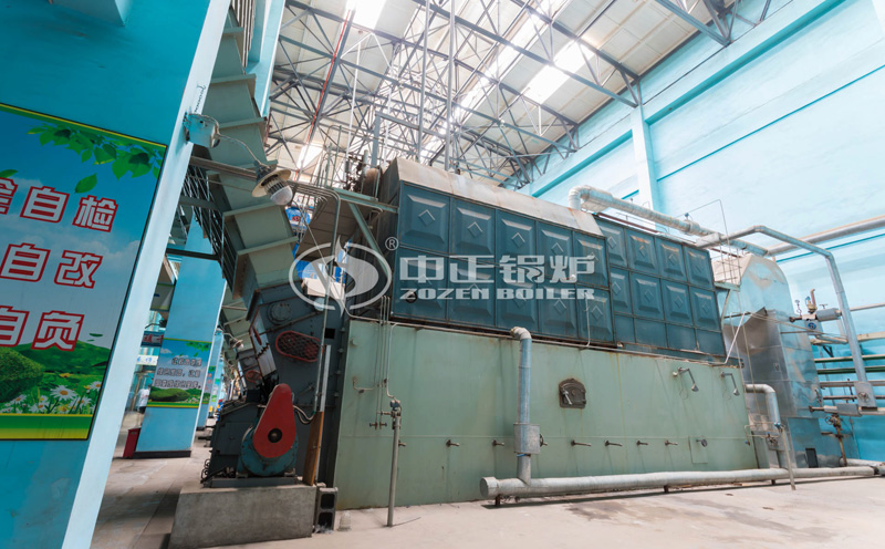 生物質(zhì)熱水鍋爐十大排名客戶案例圖片