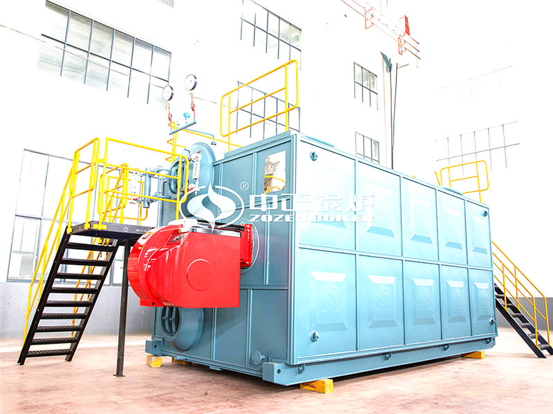 WNS燃?xì)庹羝仩t費用