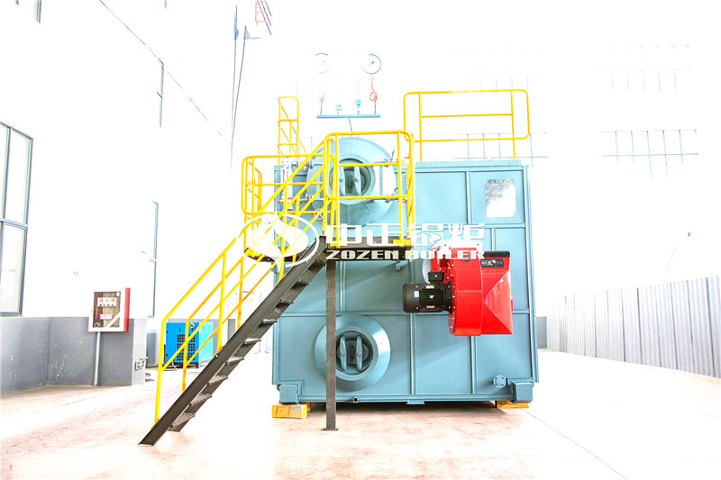 一臺(tái)二十五噸燃?xì)忮仩t低多少錢